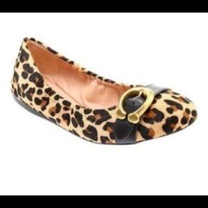 Coach staton leopard ballet flat sz 9